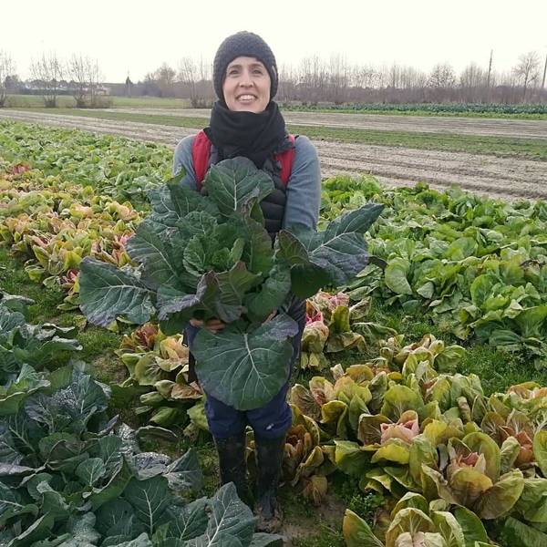 In tempo di pandemia contadini digitali studiano l'orto “agroecologico” via zoom
