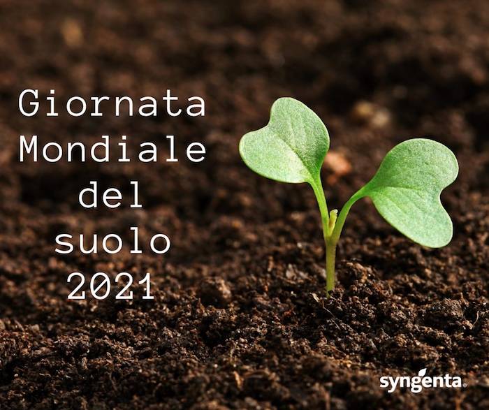 Giornata Mondiale del Suolo - Syngenta: un sistema di coltivazione più sostenibile per un suolo più sano