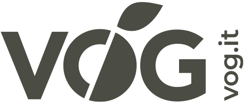 VOG Logo