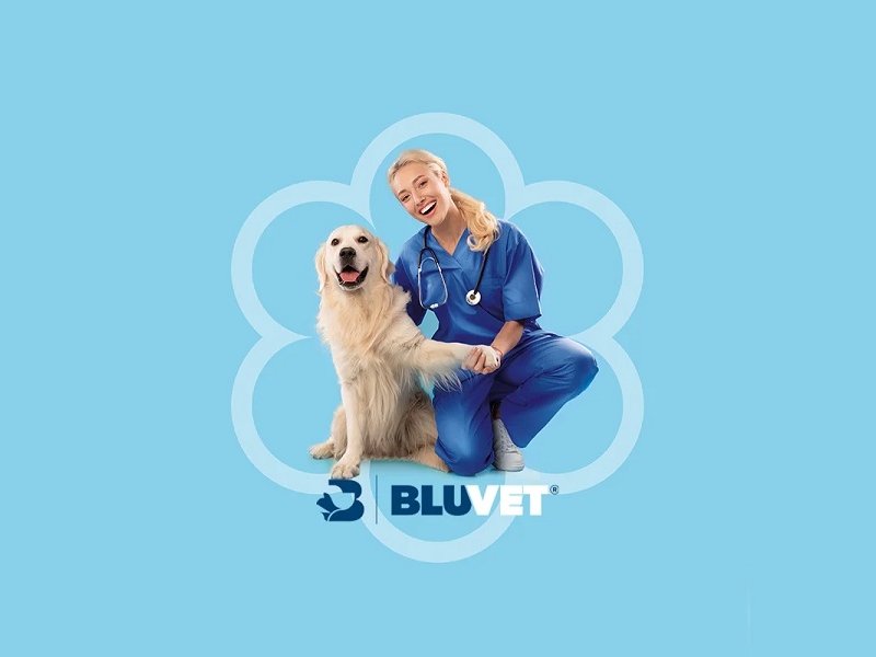 Conad e BluVet offrono servizi veterinari di qualità a condizioni agevolate