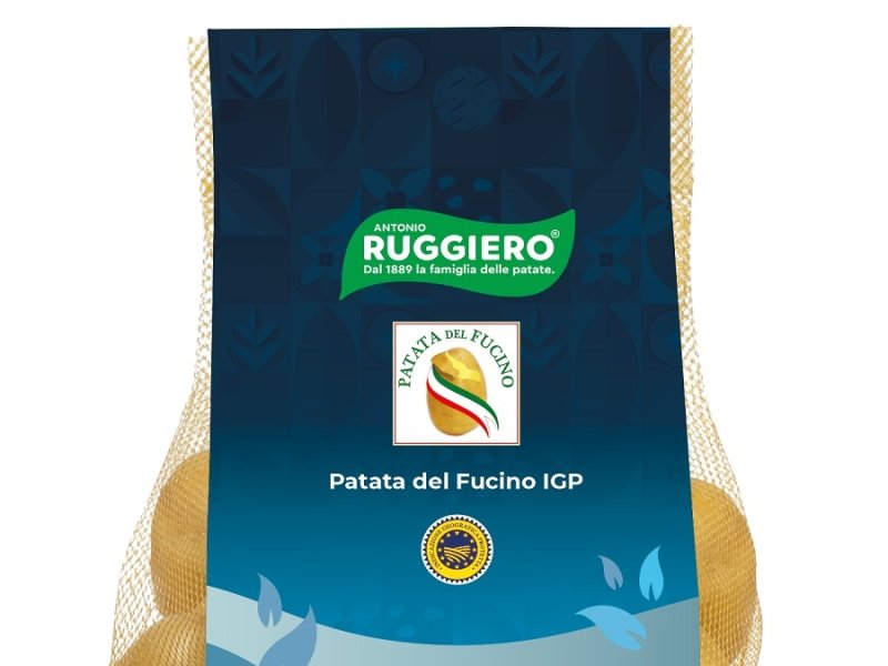Ruggiero: negli areali abruzzesi avviate le operazioni di raccolta delle patate del Fucino Igp