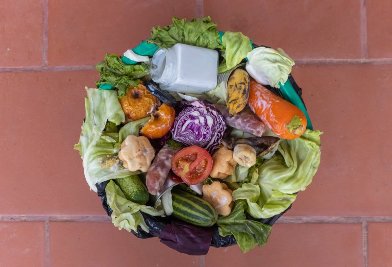 Planeat.eco: innovazione e sostenibilità nella gestione dei rifiuti alimentari