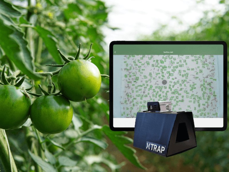 Cambiamenti climatici e agricoltura: ecco come l’Intelligenza Artificiale aiuta a vincere le sfide ambientali