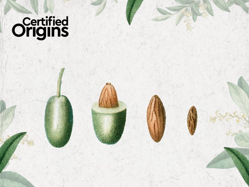Certified Origins