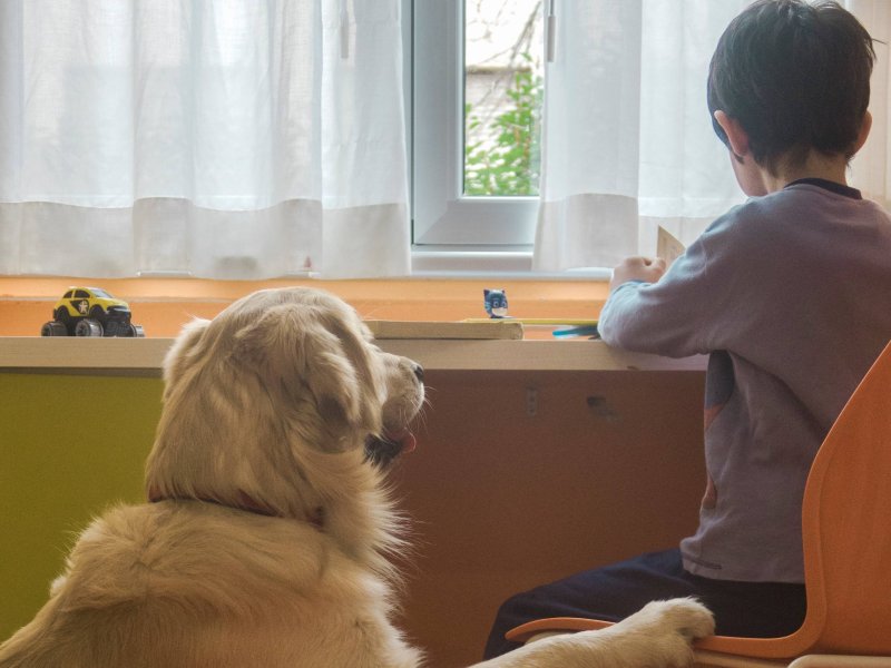 Purina e Frida’s Friends portano la pet therapy al Fatebenefratelli 