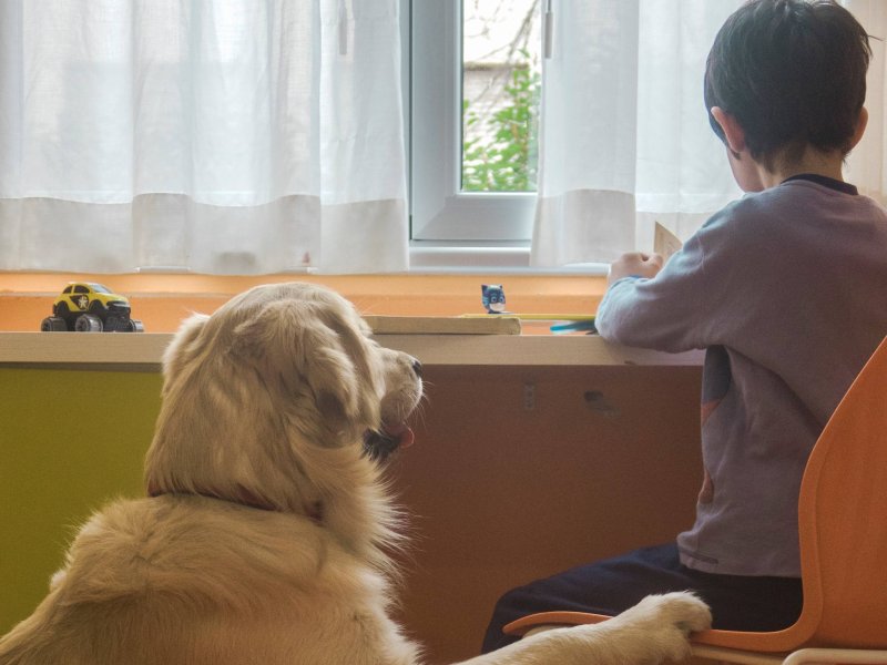 Purina e Frida’s Friends portano la pet therapy al Fatebenefratelli 