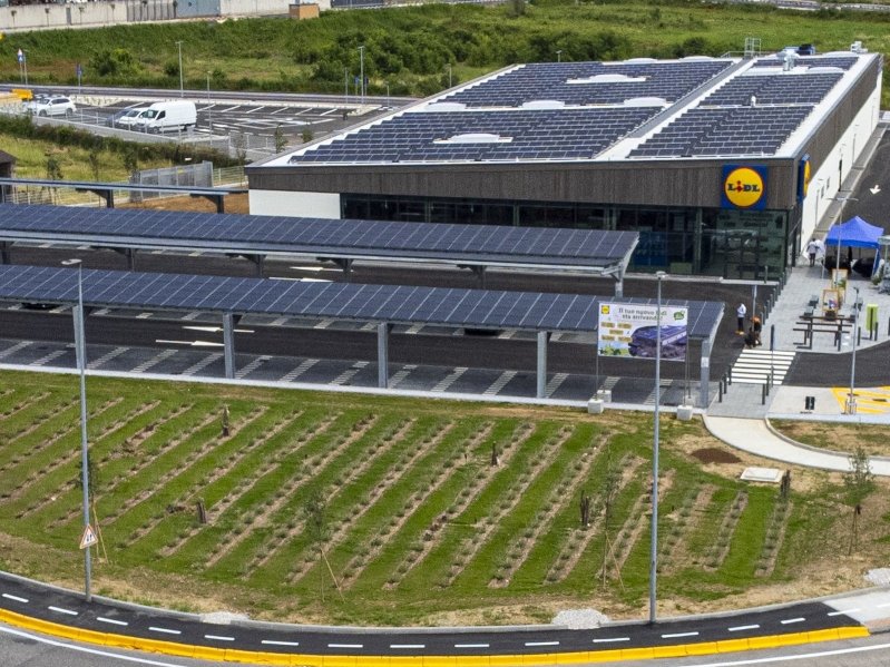 LIDL rafforza il suo impegno a tutela del clima: obiettivo net-zero entro il 2050