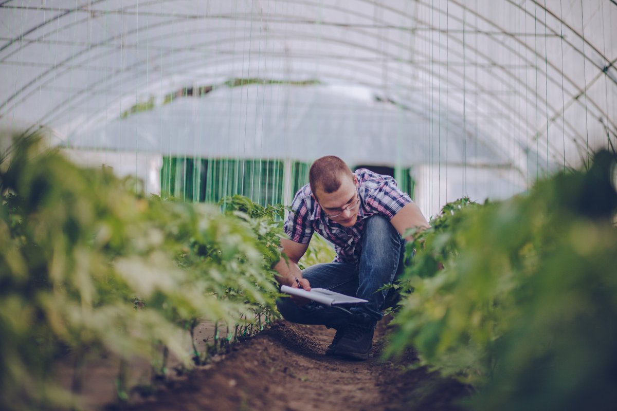 Certificazione alimentare: Agroqualità cambia nome in Rina Agrifood
