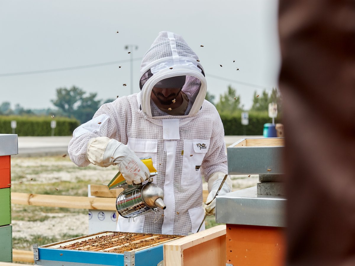 Surgital e Beeway collaborano per la biodiversità con un apiario a Lavezzola