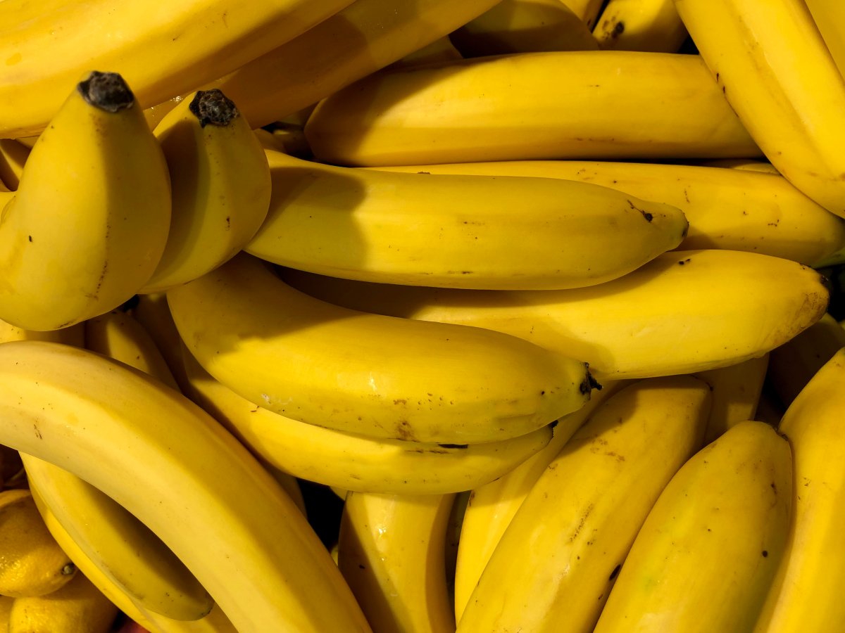 Chiquita presenta il report di sostenibilità 2024-2025