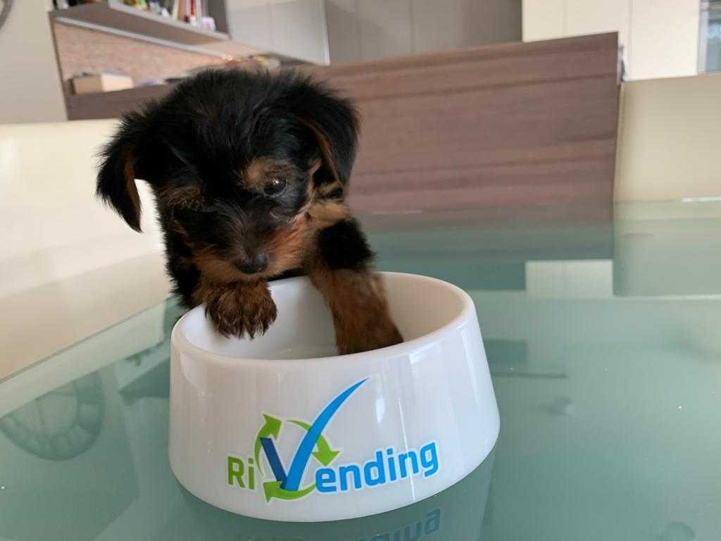 RiVending: Oltre 76 milioni di bicchieri riciclati  523 tonnellate di CO2 risparmiate