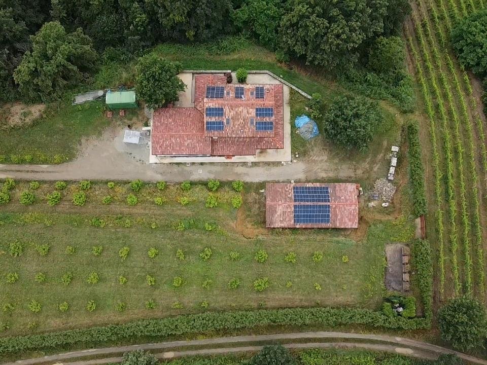Consilium Comunicazione: mille alberi nel Monferrato per sostenibilità ed eccellenza