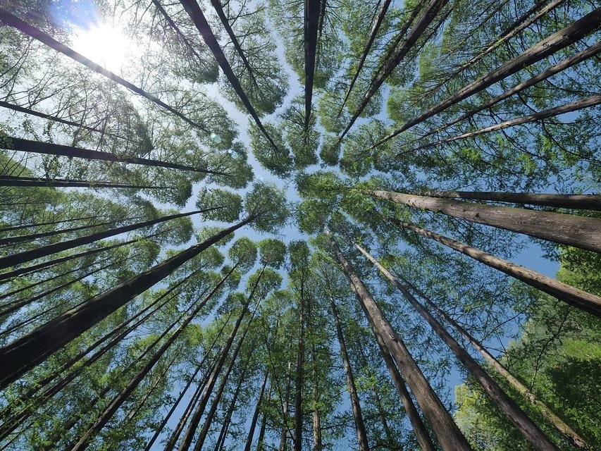 NeXt Index ESG: il primo marchio di certificazione ESG riconosciuto dal Ministero delle Imprese e del Made in Italy 