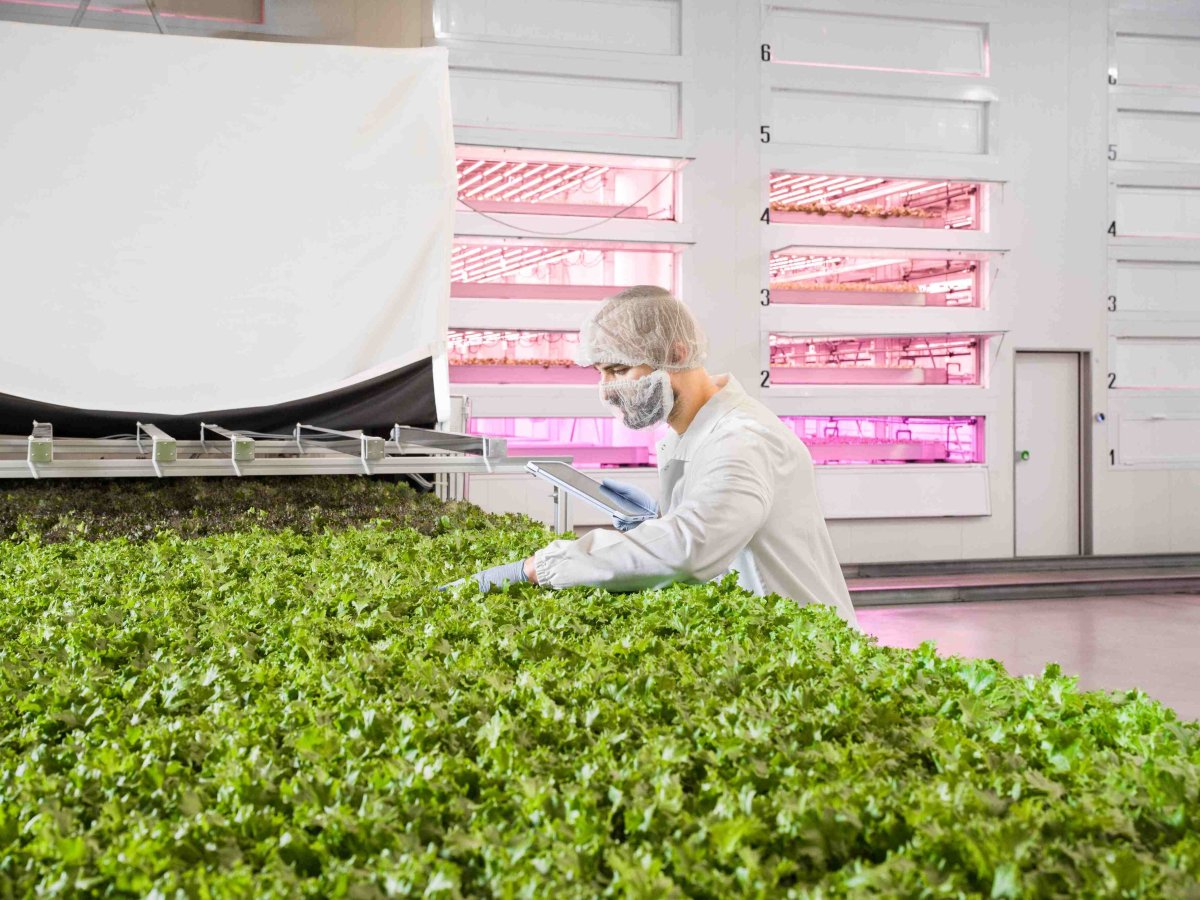  Agricola Moderna: L’agricoltura verticale come alternativa al consumo di suolo