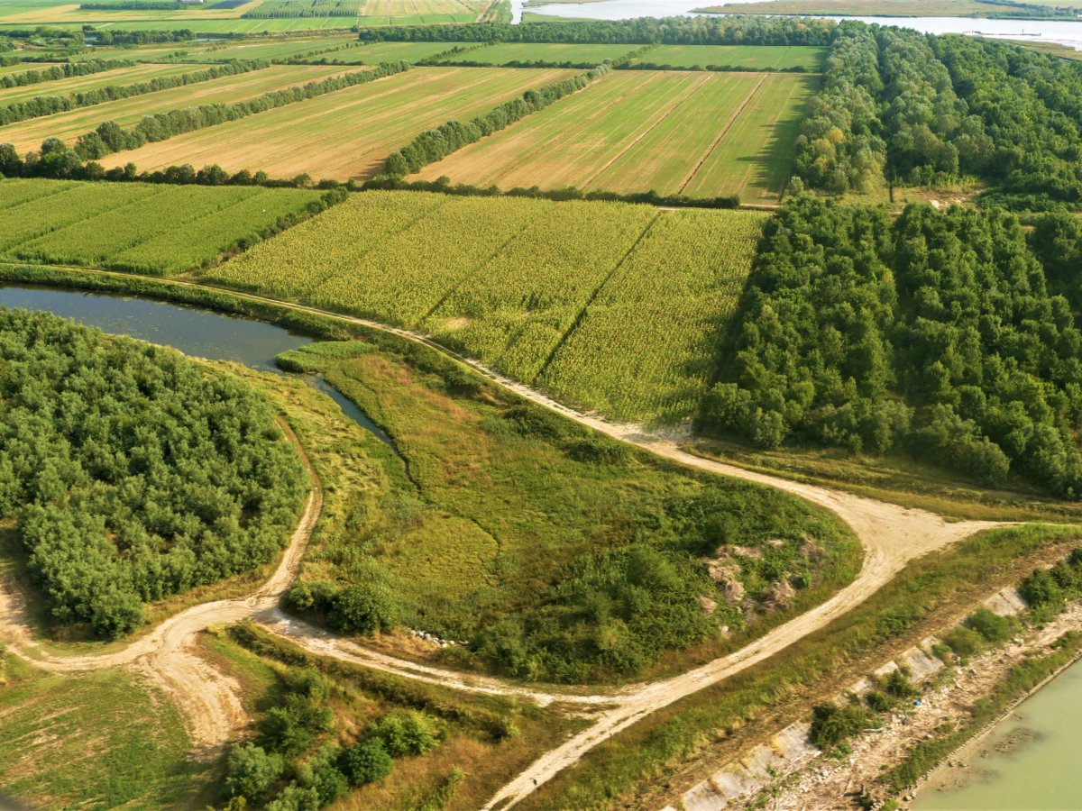  LENs: cresce il progetto di agricoltura rigenerativa di Purina