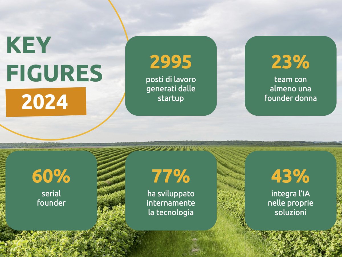 AgriFoodTech in Italia: meno investimenti e più startup nel 2024