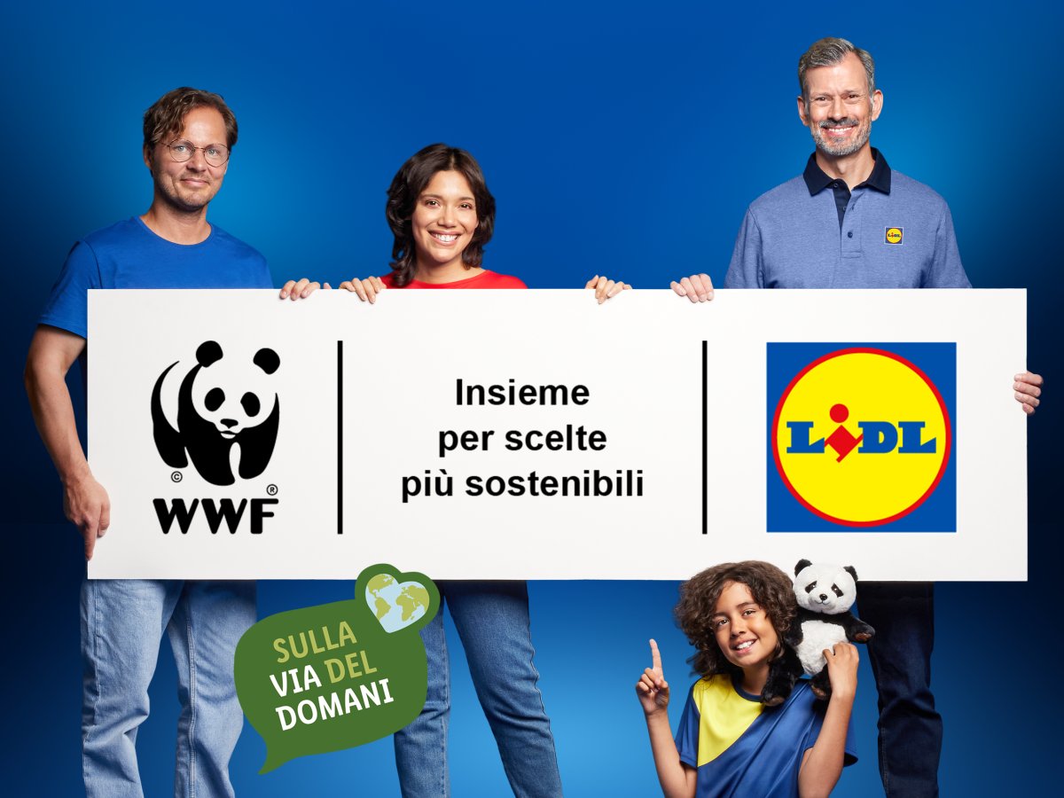 Lidl punta sulla Planetary Health Diet: obiettivo +20% di proteine vegetali entro il 2030