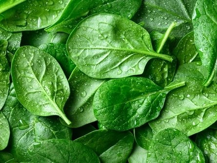 FederBio: cresce il biologico, ma servono semplificazione e investimenti