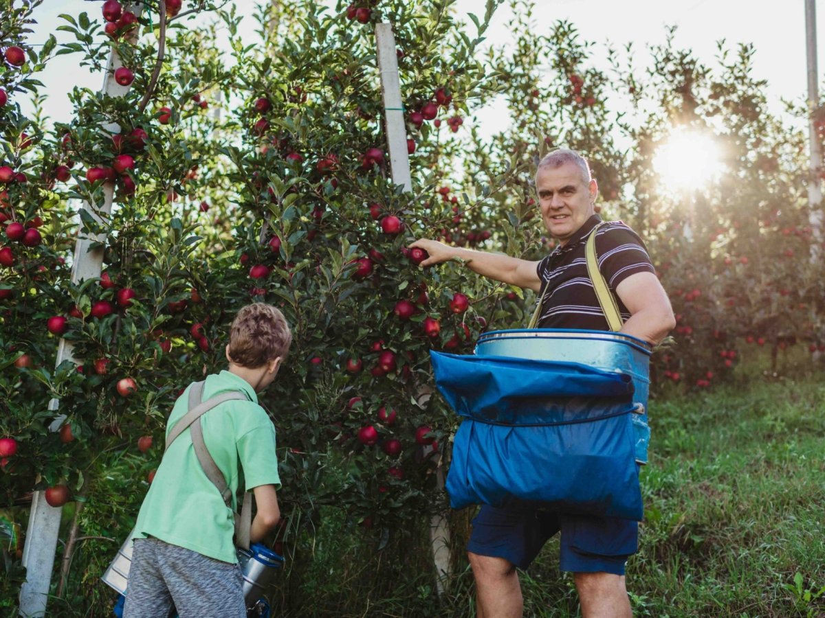 Biodiversità e modello cooperativo: il sistema altoatesino che integra sostenibilità e redditività agricola