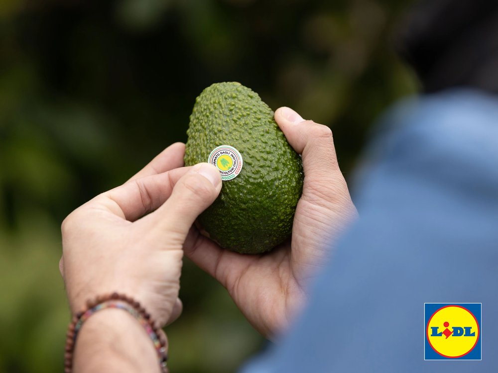 Lidl porta l’avocado dell’Etna nei suoi supermercati