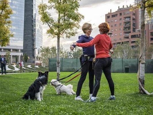 Mars e AniCura: benessere pet-friendly al BAM di Milano
