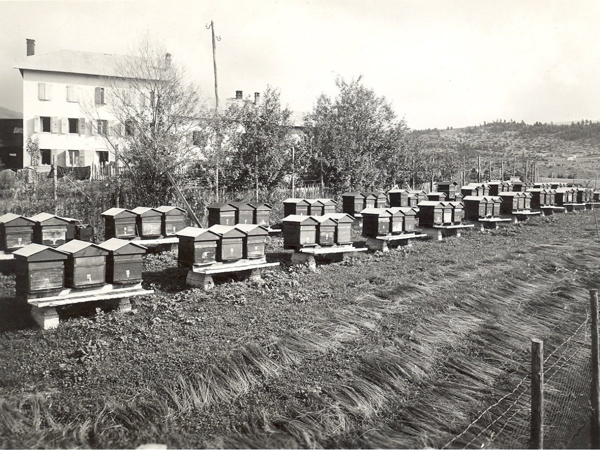 Rigoni di Asiago rinnova il sostegno a Bee My Future 