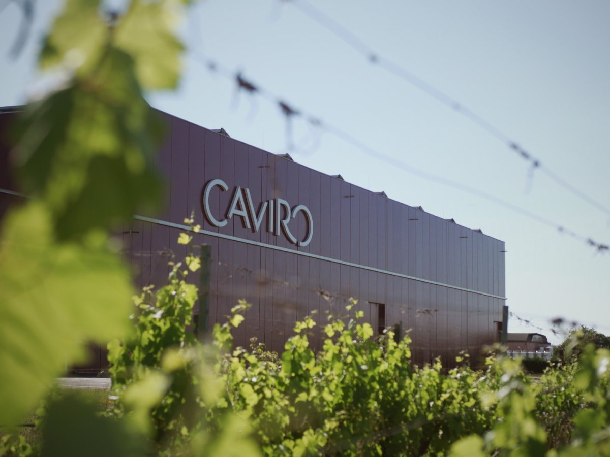 Caviro investe 12 milioni in ESG e presenta il Bilancio di Sostenibilità 2024