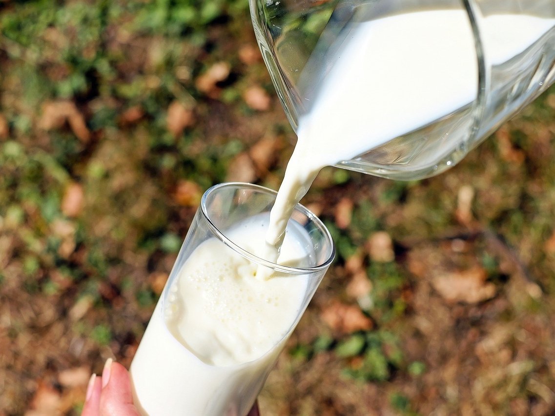 Giornata Mondiale del Latte: a Cremona il punto sulla filiera