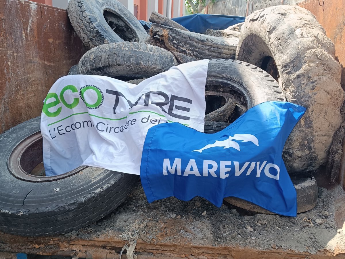 EcoTyre e Marevivo: 6 tonnellate di PFU recuperate 