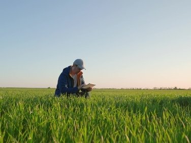 Syngenta: +10% produttività e –30% usod’acqua con InterraScan