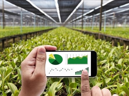 UE: ICT, AI e big data per una svolta tecnologica dei dati agroalimentari