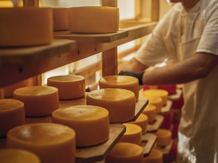 Food Industry Monitor: crescita del food italiano a +5,9%