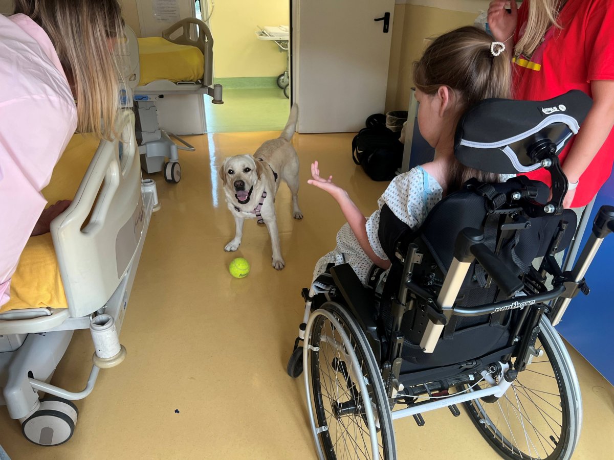 Purina porta la pet therapy al Besta per i pazienti con SMA