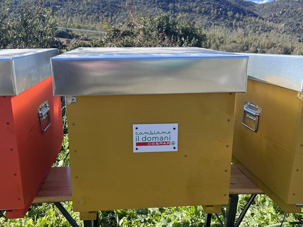 Despar lancia il progetto “Case delle Api” 
