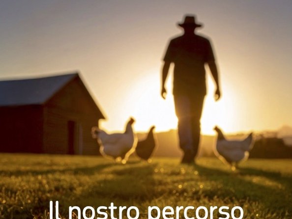 Fileni presenta il Bilancio di Sostenibilità 2024 con fatturato a 612 milioni di euro e obiettivi ESG al 2040