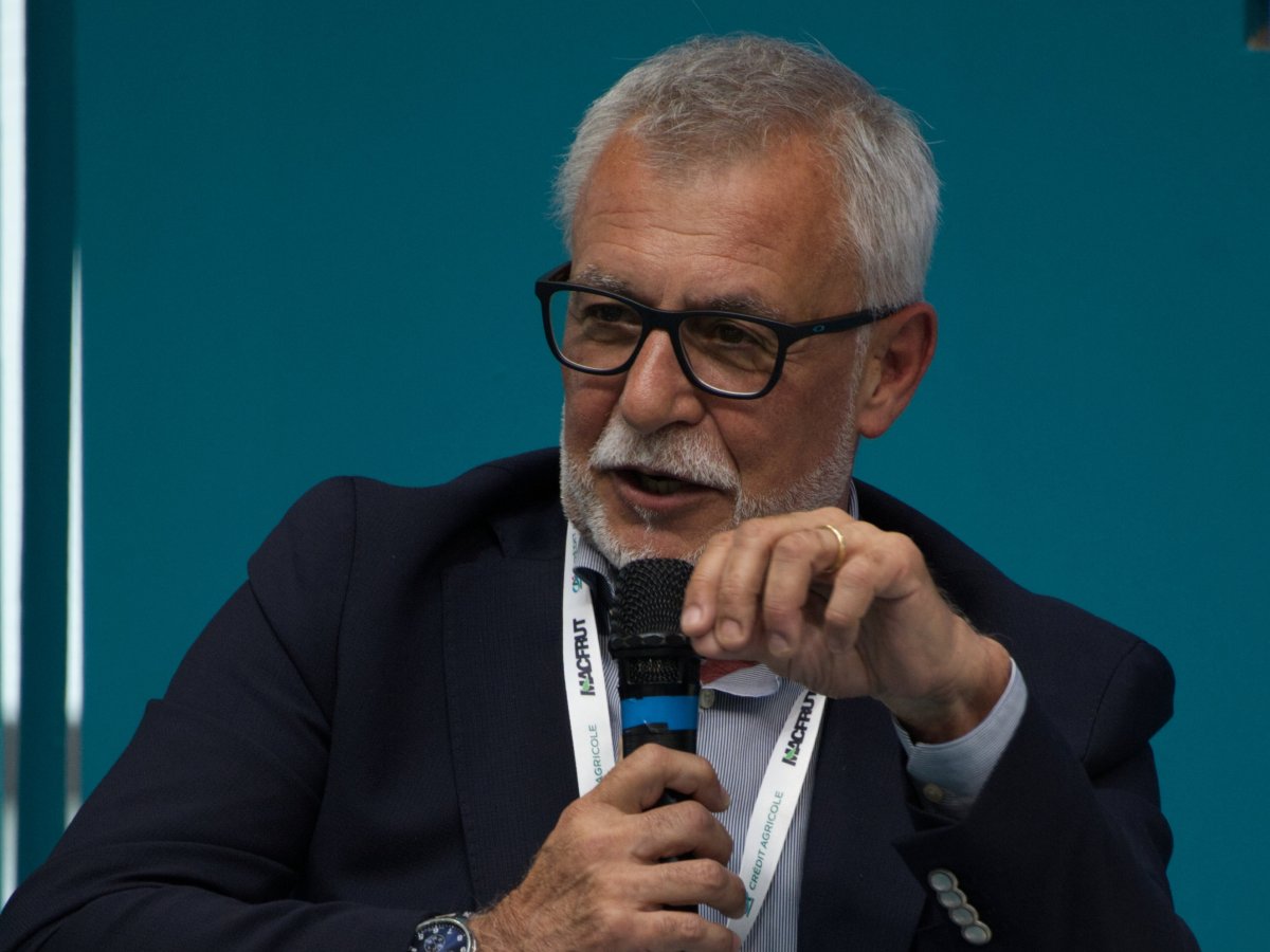 Pesca e Nettarina di Romagna IGP: bilancio positivo per la campagna commerciale 2025