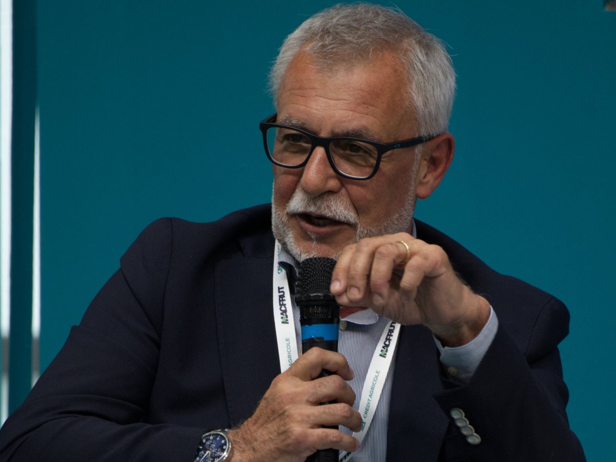 Pesca e Nettarina di Romagna IGP: bilancio positivo per la campagna commerciale 2025