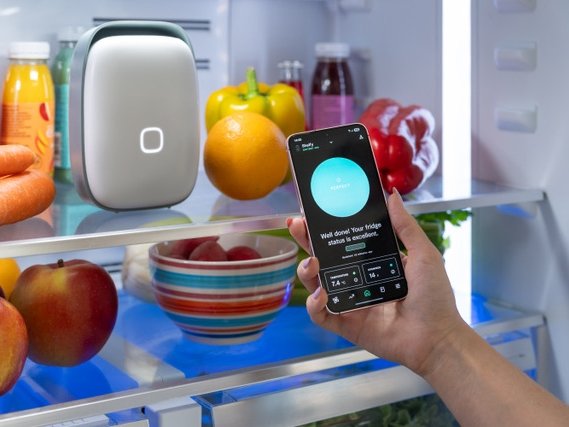 Vitesy lancia il nuovo Shelfy per frigoriferi più sostenibili