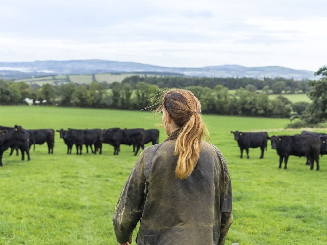 Certified Irish Angus: in Irlanda allevamenti sostenibili e formazione