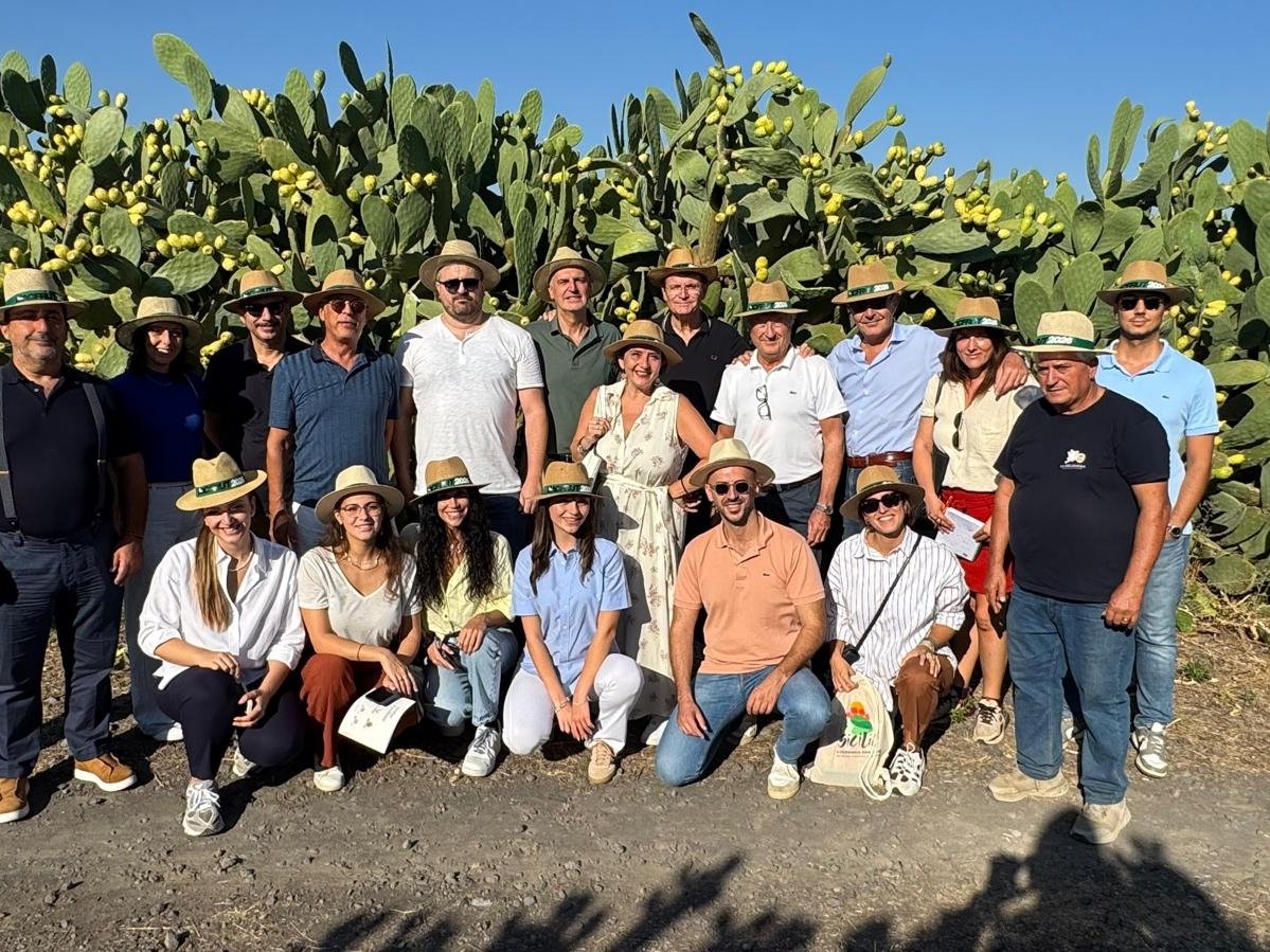 Sicilia e ortofrutta a Macfrut 2026: dati, aziende e iniziative
