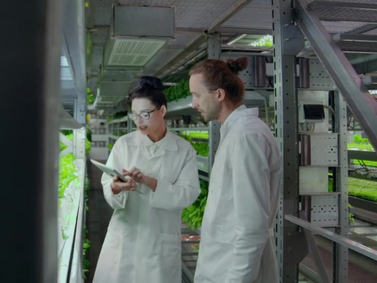 Foodtech Incubator accelera la transizione verso un sistema agroalimentare sostenibile