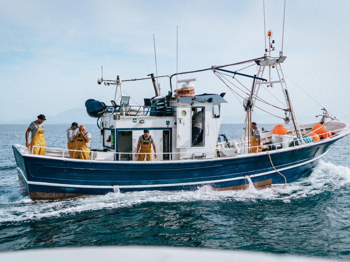 Pesca sostenibile 2025: il mercato italiano fa squadra con MSC