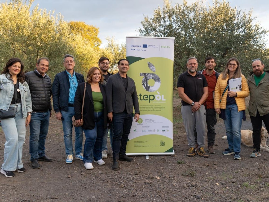 STEP-OL: Sicilia e Tunisia insieme per proteggere l’olivo mediterraneo