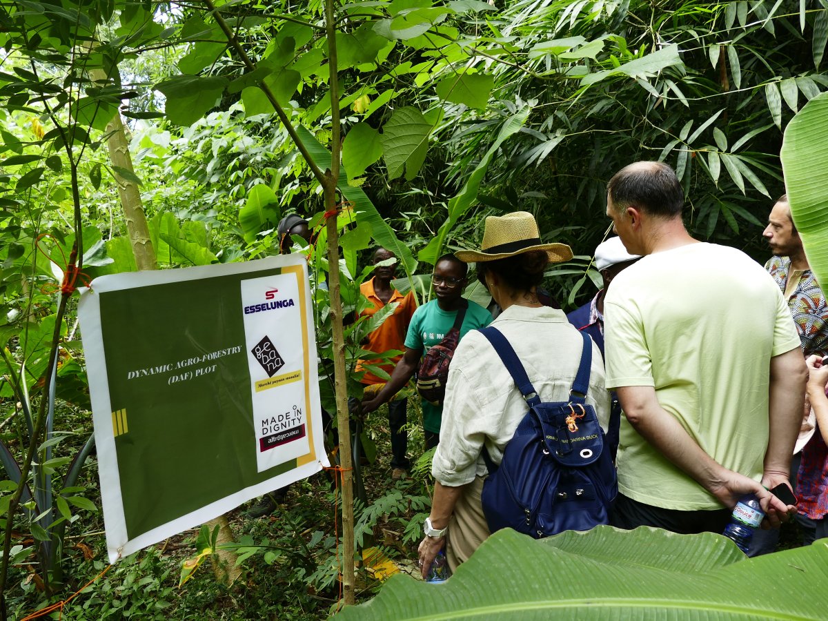  Esselunga e Altromercato: cacao sostenibile in Togo