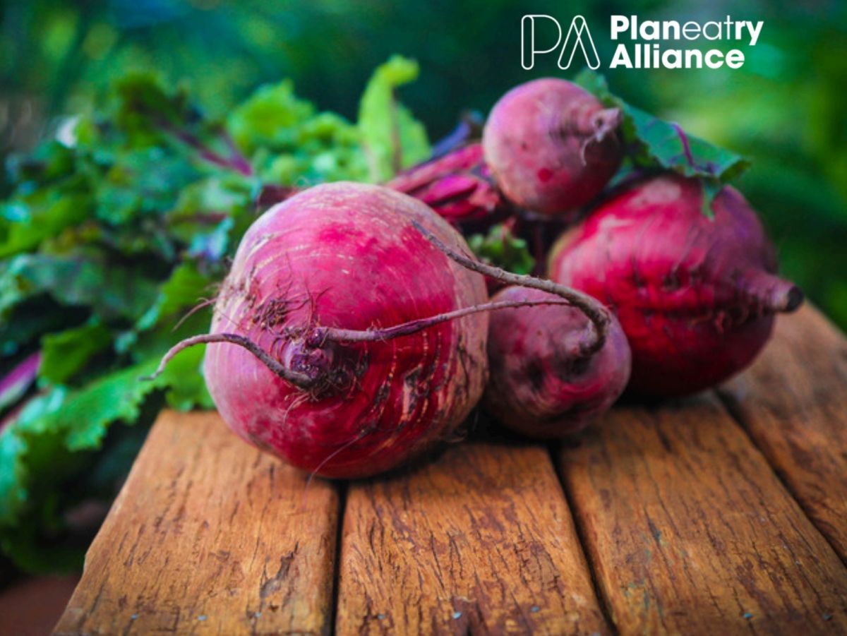 Food System Barometer: cosa può imparare la Gdo italiana dai retailer nordeuropei sulla transizione alimentare