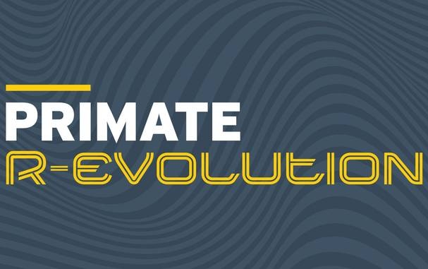 La R-Evolution di Primate Italia per un'edilizia green