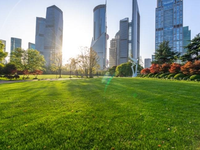 Cribis: al via Synegsy la digital platform globale specializzata nella valutazione delle aziende in ambito Esg