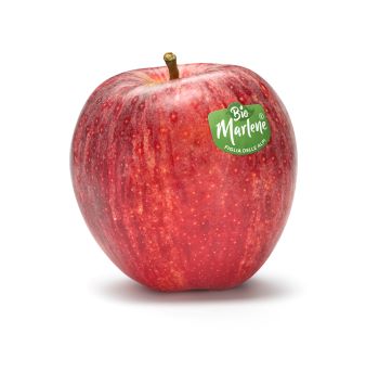 Settembre è tempo di… Gala Bio Marlene®!