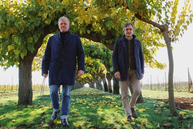 Dall'economia circolare nasce la Ribolla Gialla Spumante Brut di Filare Italia: il Medio Friuli guarda al futuro
