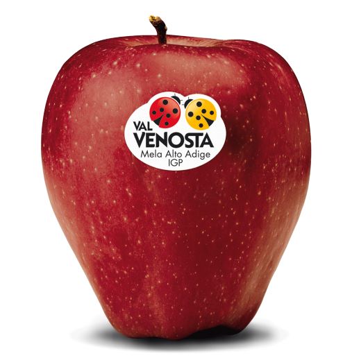 Red Delicious Val Venosta, il profondo dialogo tra melicoltori e natura